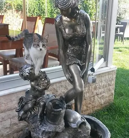 بيت ضيافة Fokai