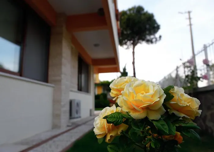 Fokai Konukevi Yenifoca