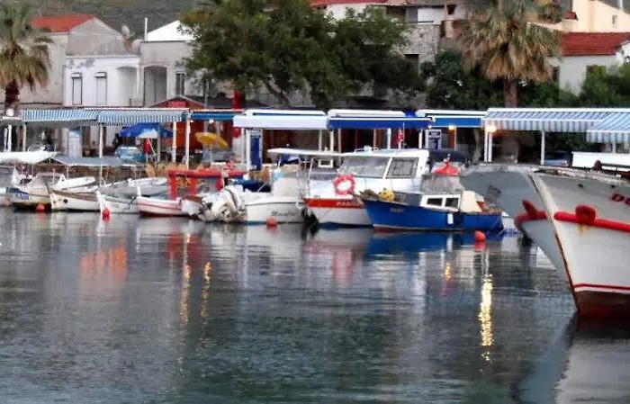Fokai Yenifoca