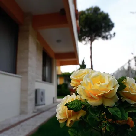 Fokai Gæstehus Yenifoca