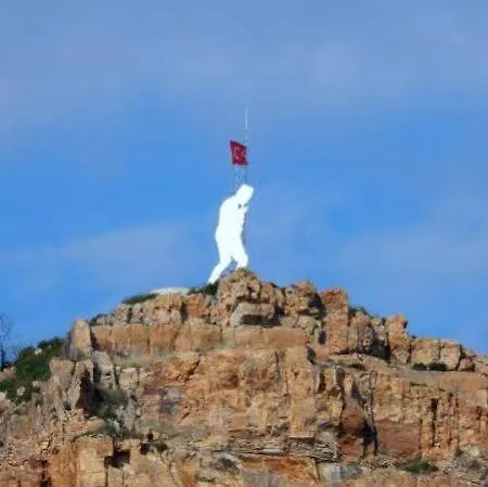 Fokai Yenifoca